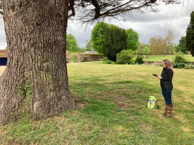 Employee holding tablet next to a tree