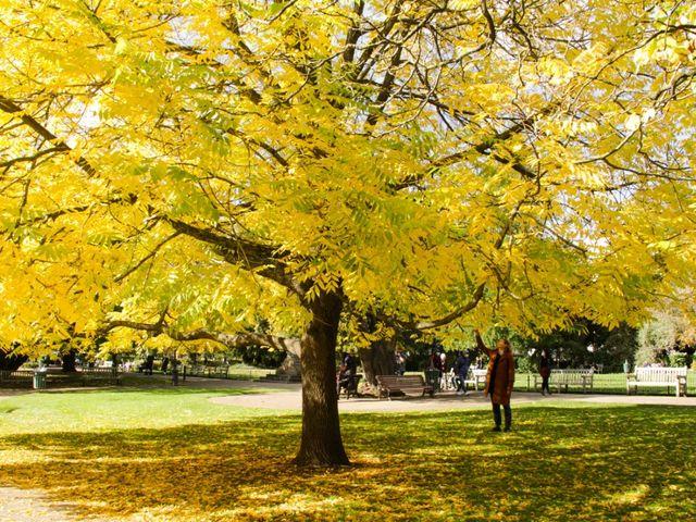 Lady stood under a tree